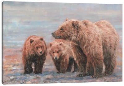 Three Bears Canvas Art Print - David Stribbling