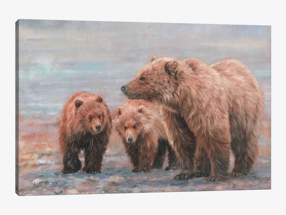 Three Bears by David Stribbling 1-piece Canvas Wall Art