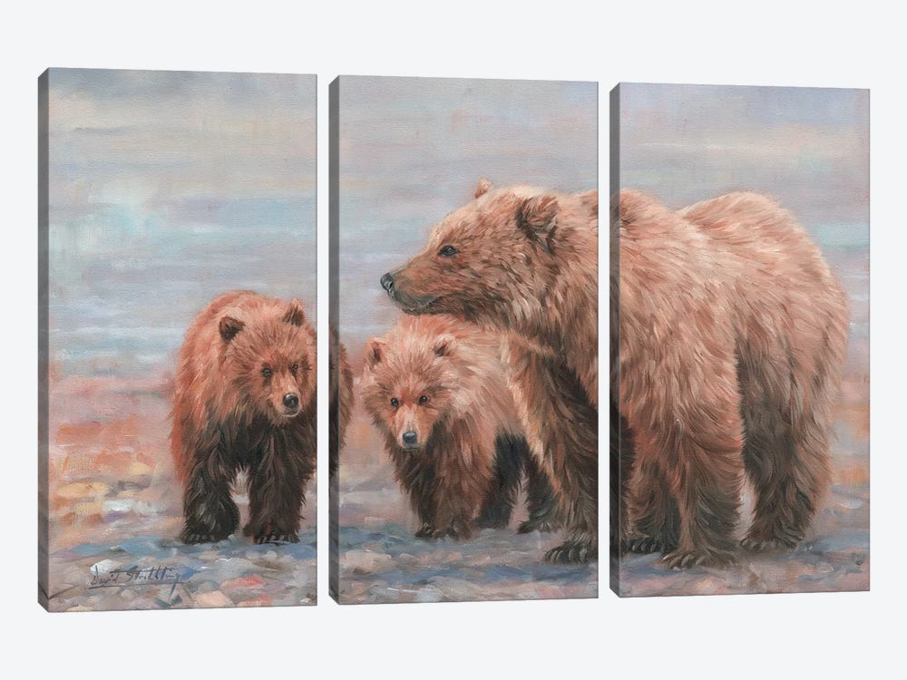 Three Bears by David Stribbling 3-piece Canvas Wall Art