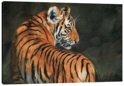 Tiger At Night Canvas Art Print - Photorealism Art