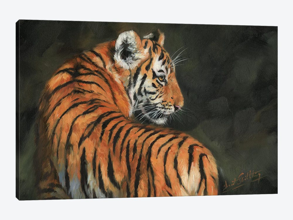 Tiger At Night 1-piece Canvas Print
