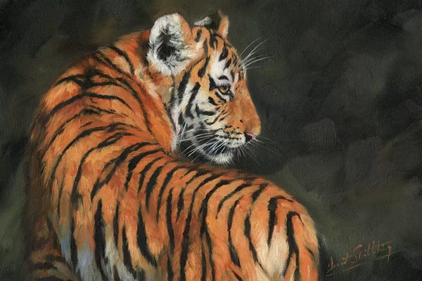 David Stribbling: Tiger At Night by David Stribbling