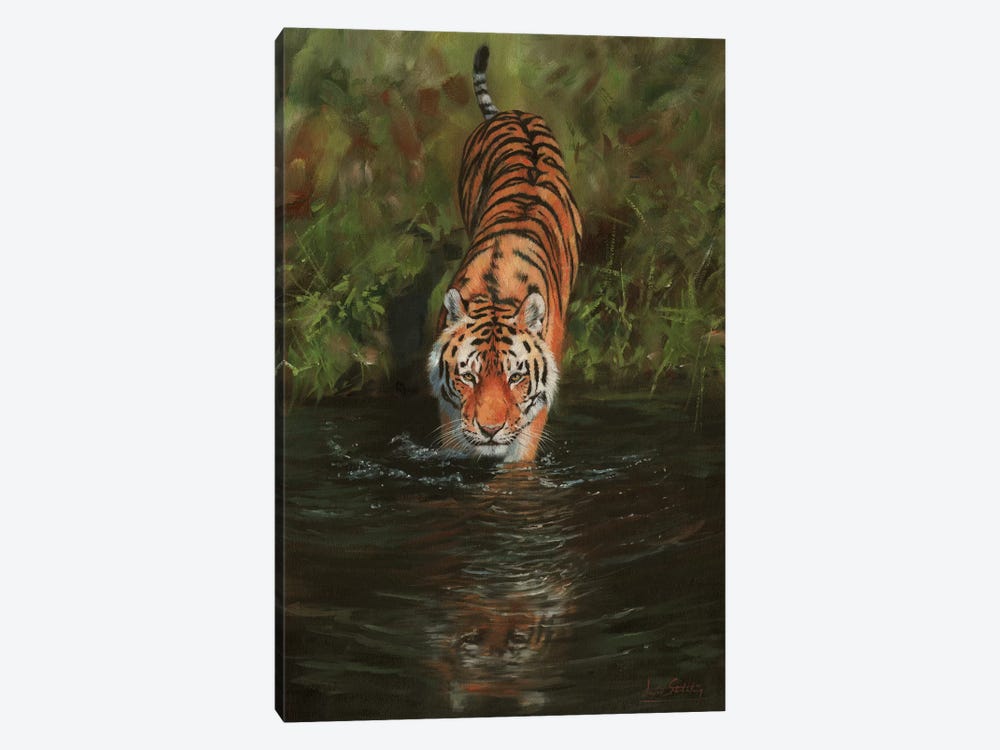Tiger Cooling Off 1-piece Canvas Wall Art