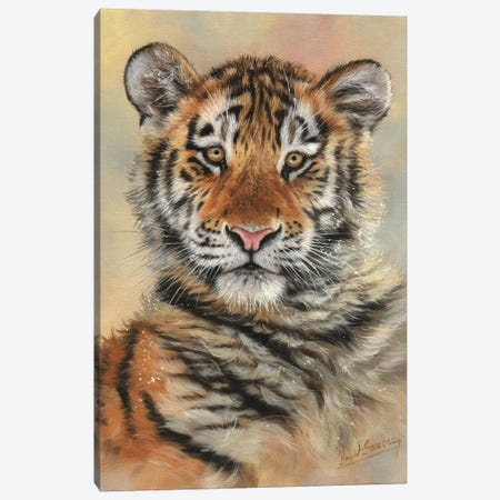 Tiger Cub Portrait Canvas Print #STG109} by David Stribbling Canvas Artwork