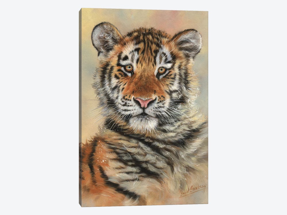 Tiger Cub Portrait by David Stribbling 1-piece Canvas Art Print