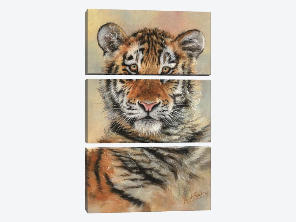 Tiger Cub Portrait 3-piece Canvas Art Print