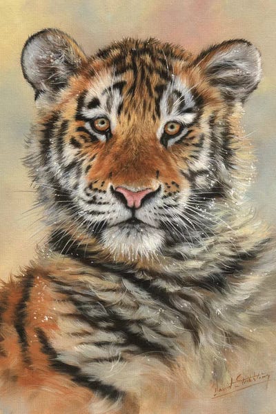 Tigers: Tiger Cub Portrait by David Stribbling