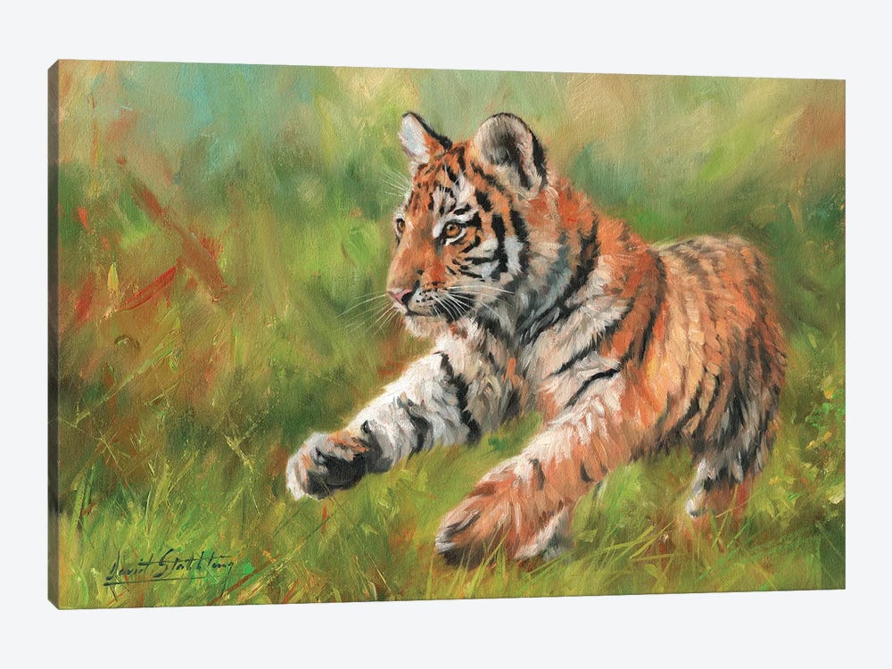 Tiger Cub Running by David Stribbling 1-piece Canvas Print