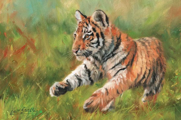 David Stribbling: Tiger Cub Running by David Stribbling