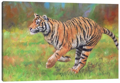 Tiger Running Canvas Art Print - Photorealism Art