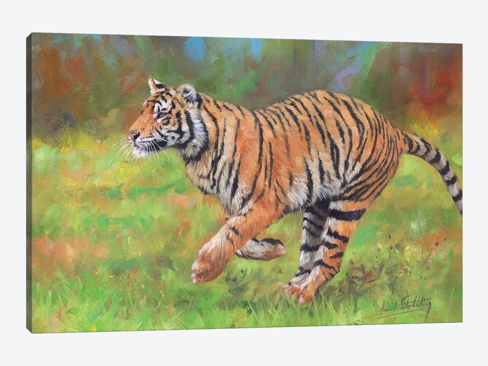 Tiger Running by David Stribbling 1-piece Canvas Artwork