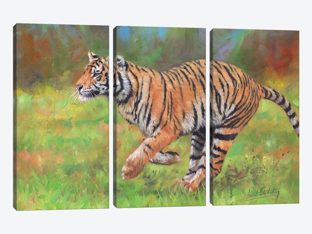 Tiger Running by David Stribbling 3-piece Canvas Wall Art