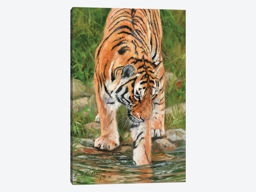 Tiger Stream 1-piece Canvas Print