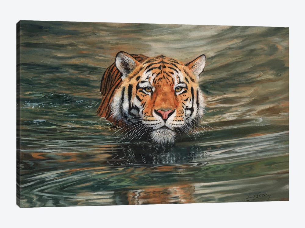 Tiger Water Front by David Stribbling 1-piece Canvas Artwork