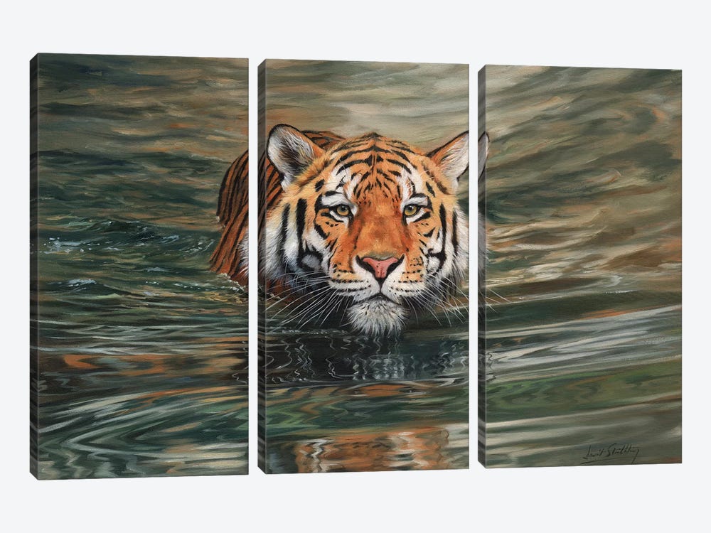 Tiger Water Front 3-piece Canvas Wall Art