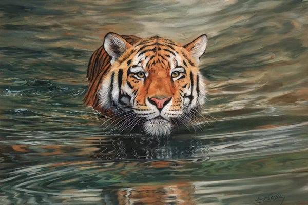Fine Art Safari: Tiger Water Front by David Stribbling