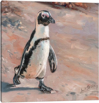 Beach Stroll Canvas Art Print - Penguin Art