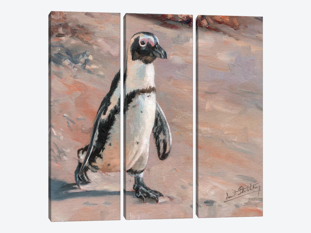 Beach Stroll by David Stribbling 3-piece Canvas Art Print