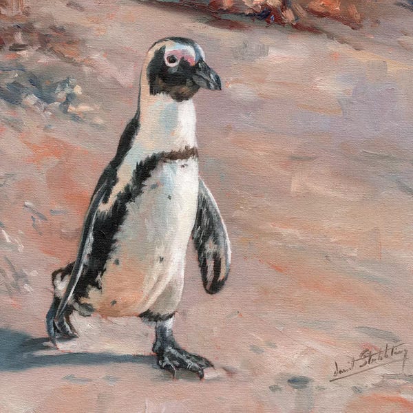 Penguins: Beach Stroll by David Stribbling