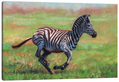 Zebra Running Canvas Art Print - Celery