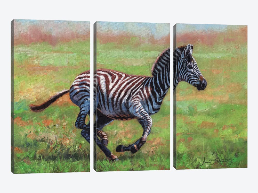 Zebra Running by David Stribbling 3-piece Canvas Art Print