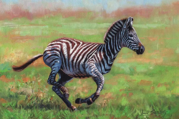 Zebras: Zebra Running by David Stribbling