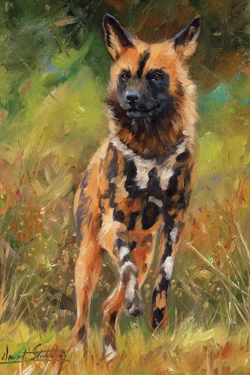 African Wild Dog by David Stribbling wall art