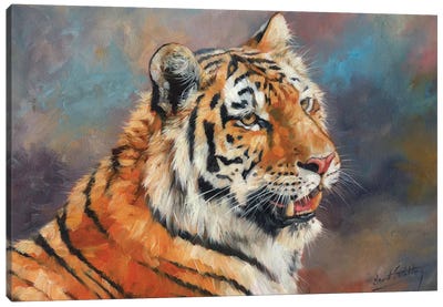 Amur Tiger II Canvas Art Print - Tiger Art