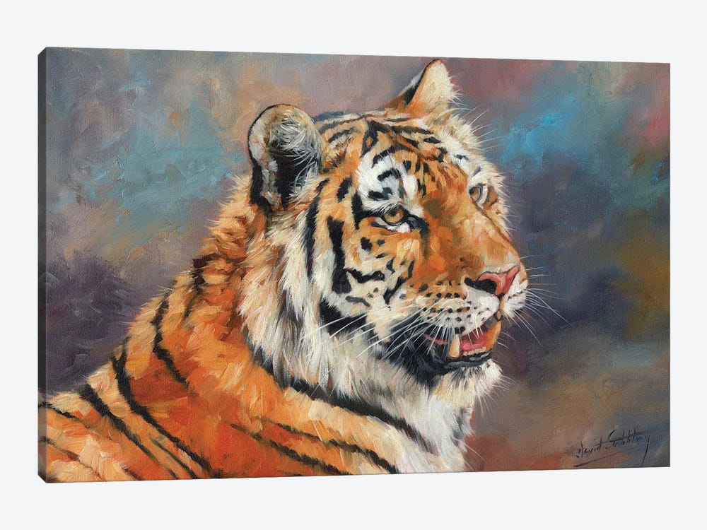 Amur Tiger II by David Stribbling 1-piece Art Print