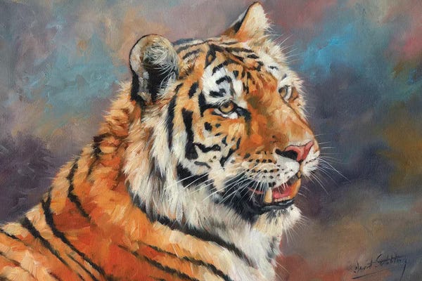 David Stribbling: Amur Tiger II by David Stribbling