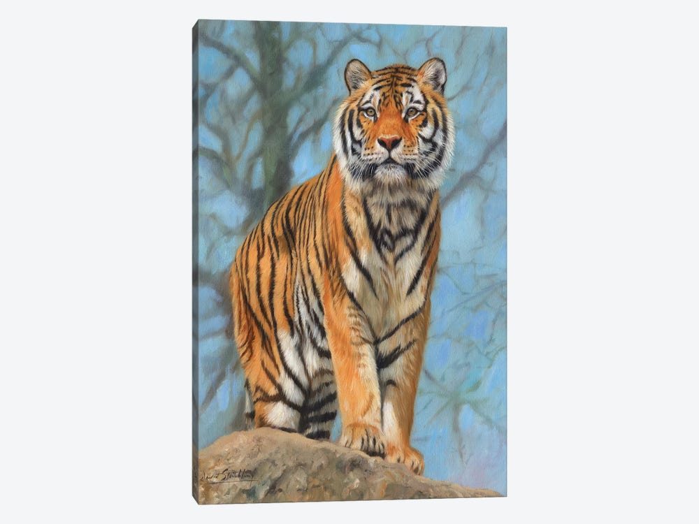 Amur Tiger Watch by David Stribbling 1-piece Canvas Artwork