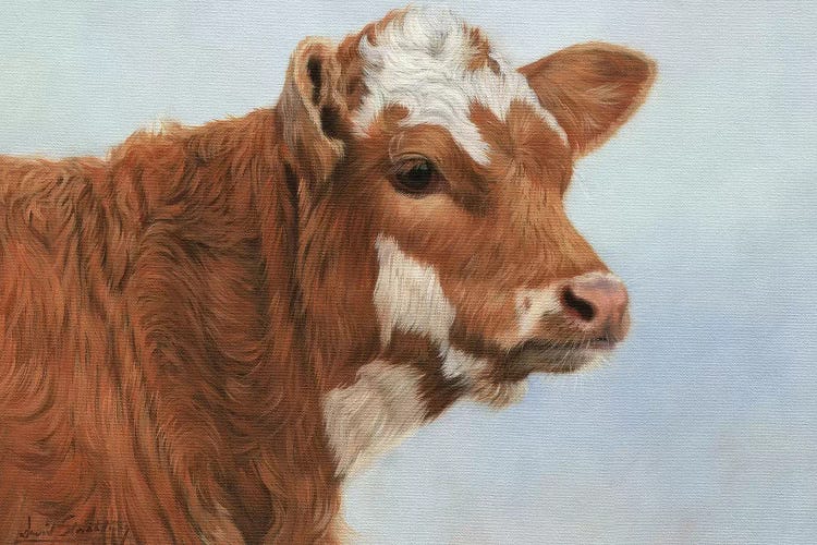 Calf by David Stribbling wall art