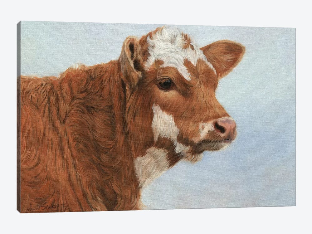 Calf by David Stribbling 1-piece Canvas Print