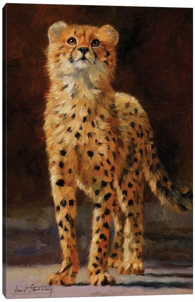 Cheetah Cub II Canvas Art Print - David Stribbling