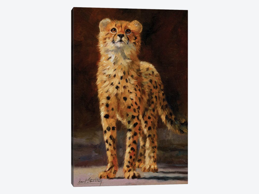 Cheetah Cub II by David Stribbling 1-piece Canvas Artwork