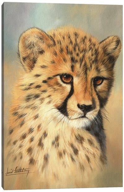 Cheetah Cub Portrait II Canvas Art Print - Cheetah Art