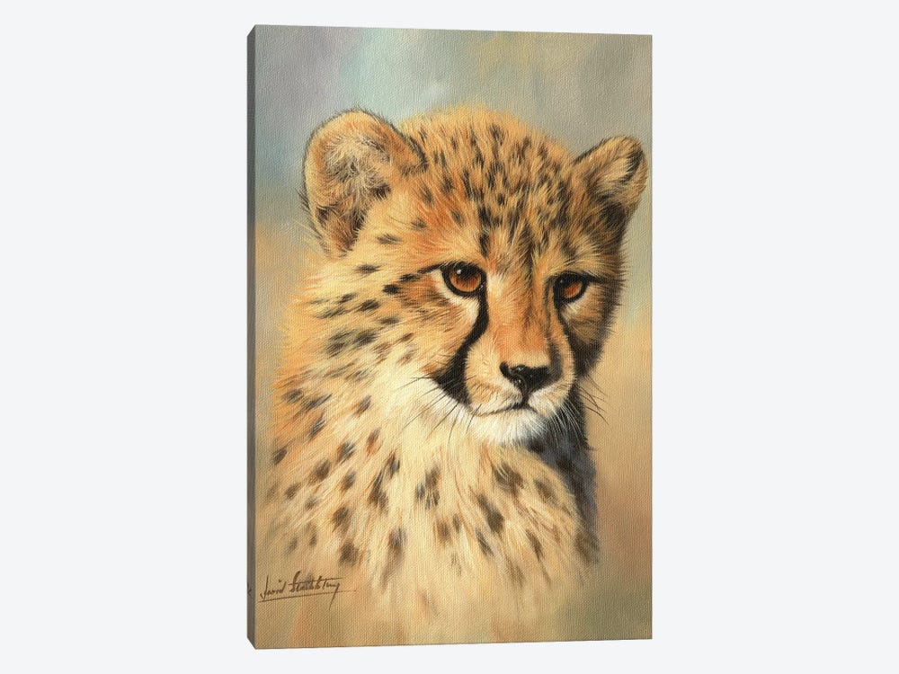 Cheetah Cub Portrait II by David Stribbling 1-piece Art Print