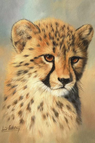 Cheetahs: Cheetah Cub Portrait II by David Stribbling