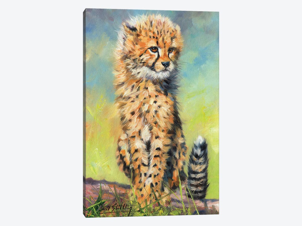 Cheetah Cub Sitting by David Stribbling 1-piece Canvas Wall Art