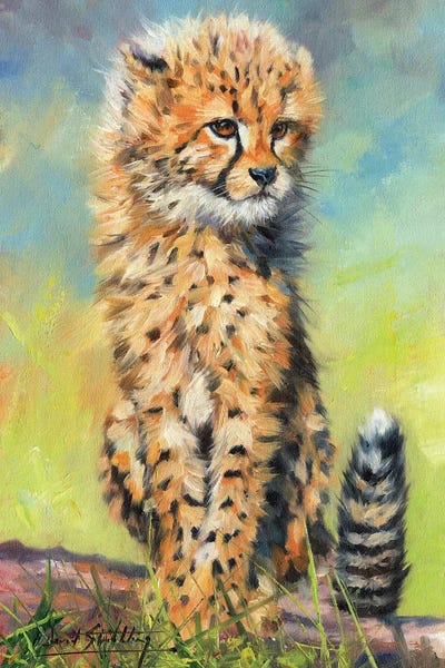 Cheetahs: Cheetah Cub Sitting by David Stribbling