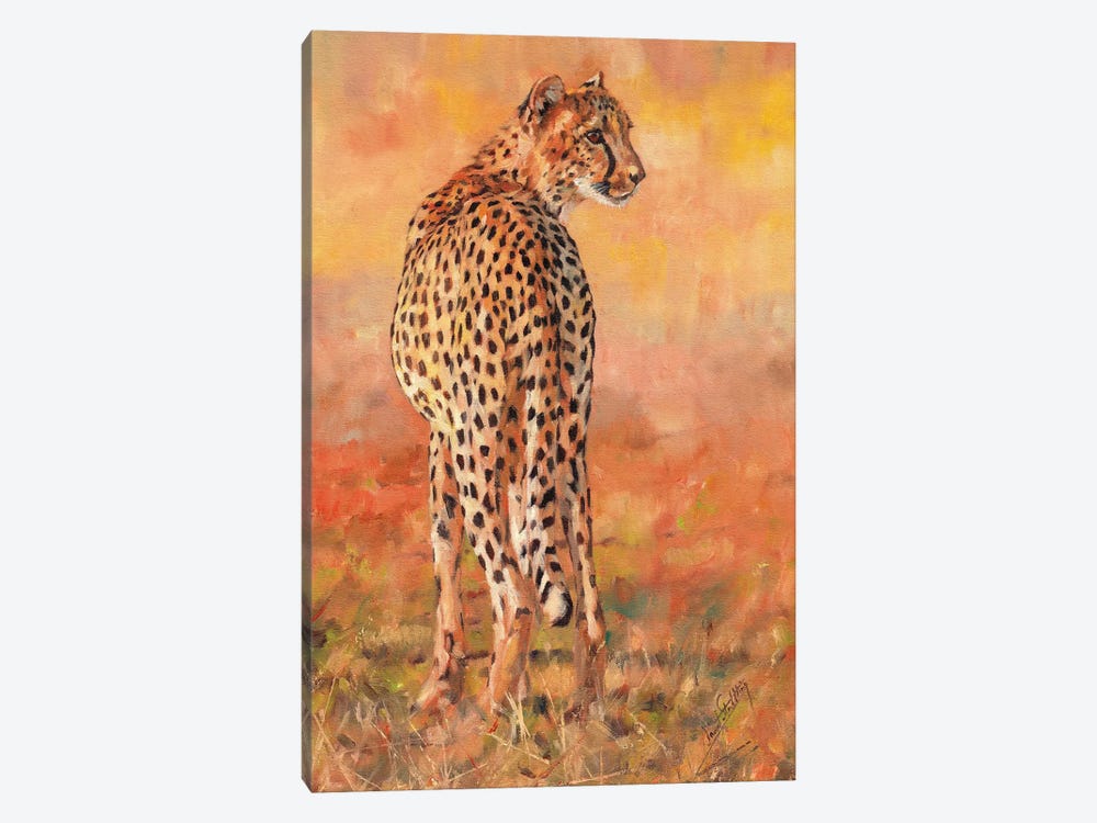 Cheetah Sunset by David Stribbling 1-piece Canvas Wall Art