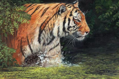 Cool Cat by David Stribbling art print