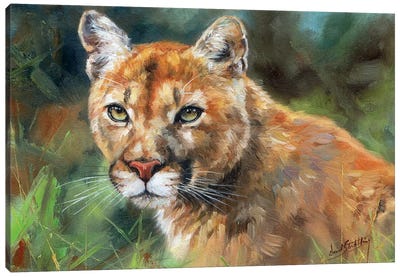 Cougar Portrait Canvas Art Print - Photorealism Art