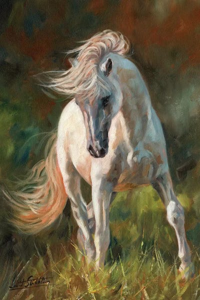 Dance Like No-One Is Watching by David Stribbling art print