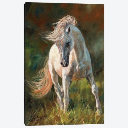Dance Like No-One Is Watching Canvas Print #STG140} by David Stribbling Canvas Artwork