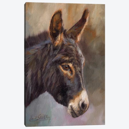 Donkey Canvas Print #STG142} by David Stribbling Canvas Art