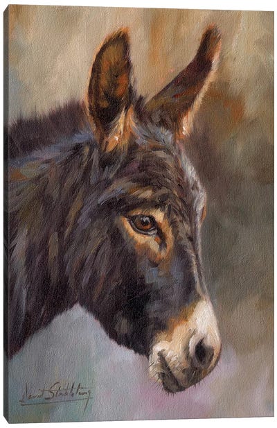 Donkey Canvas Art Print - Photorealism Art