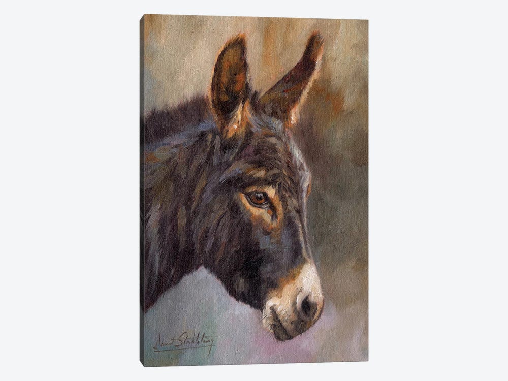 Donkey by David Stribbling 1-piece Canvas Artwork