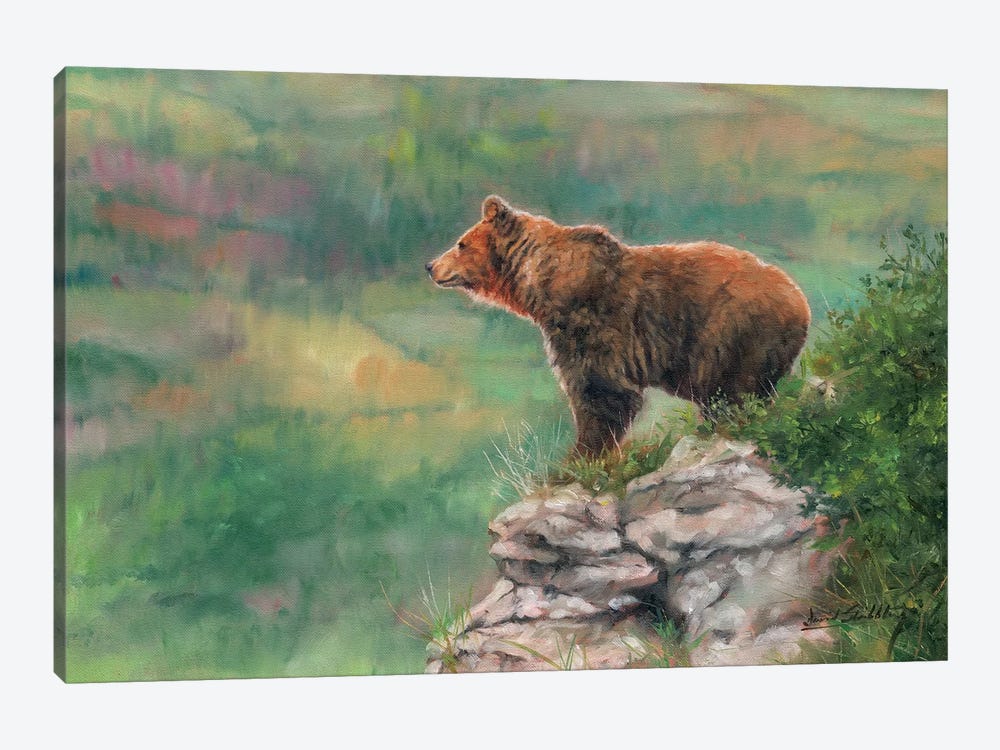 European Brown Bear by David Stribbling 1-piece Canvas Art Print