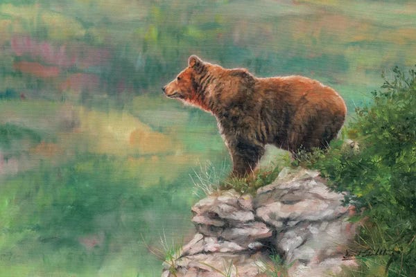David Stribbling: European Brown Bear by David Stribbling